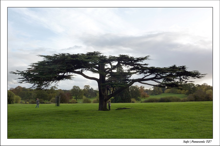 2010 - 10 - Stamford 39